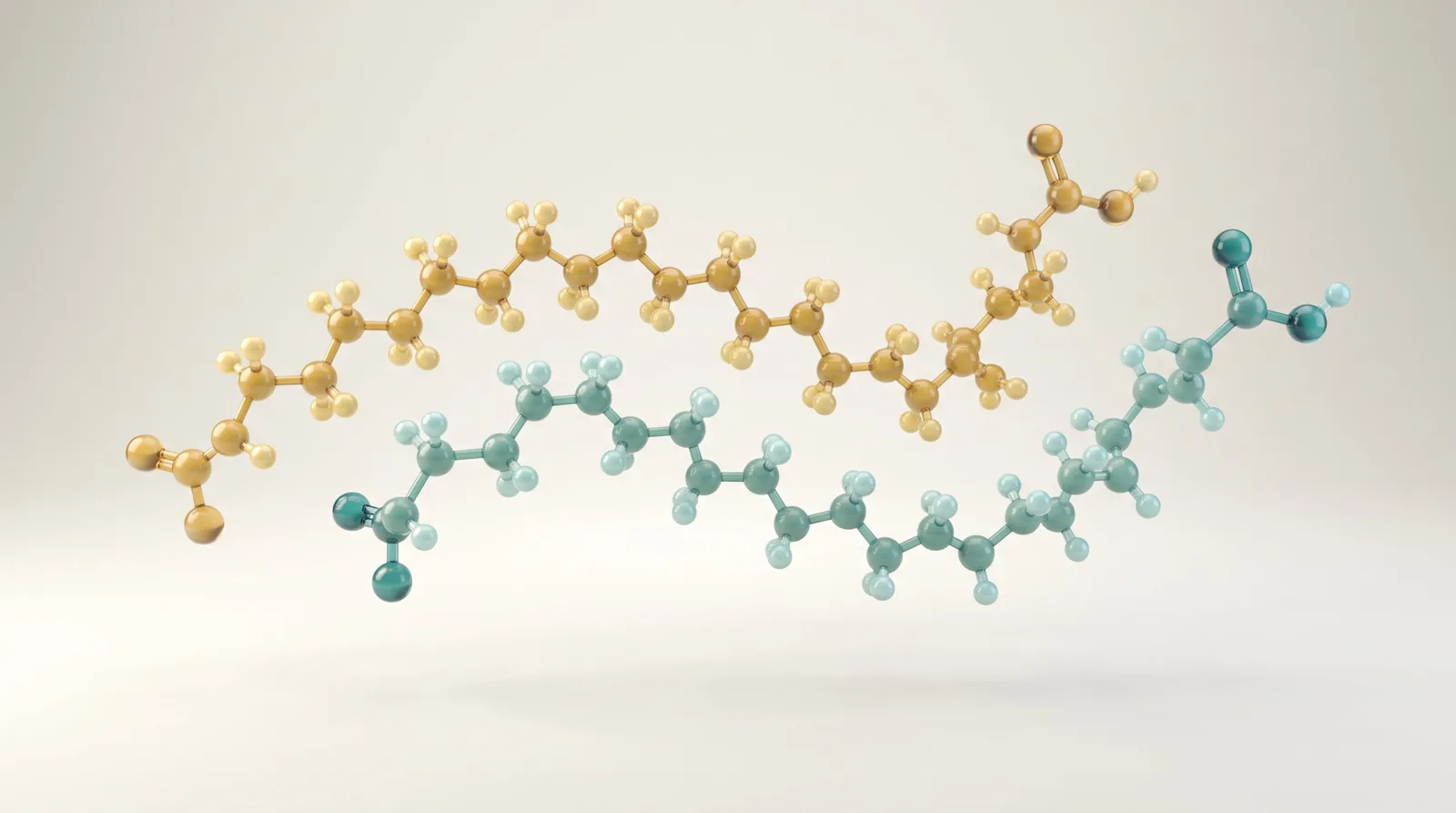 Two omega-3 fatty acid molecules side by side — DHA and EPA