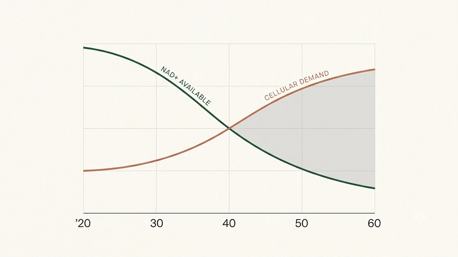 Chart showing NAD+ availability falling while cellular demand rises with age