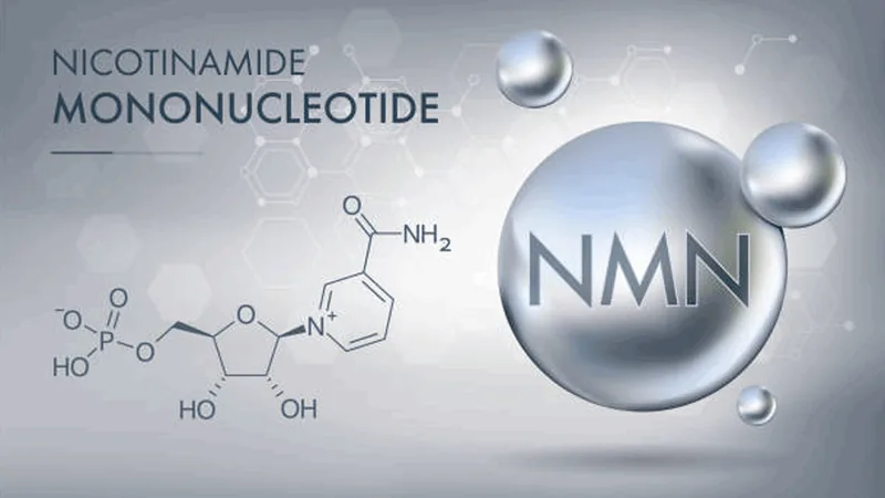 The NAD+ molecule, and the smaller precursors that actually reach the cell
